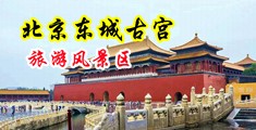 色色色B操中国北京-东城古宫旅游风景区